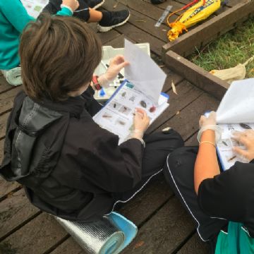 Autumn Expeditions with Years 3,5, and 6